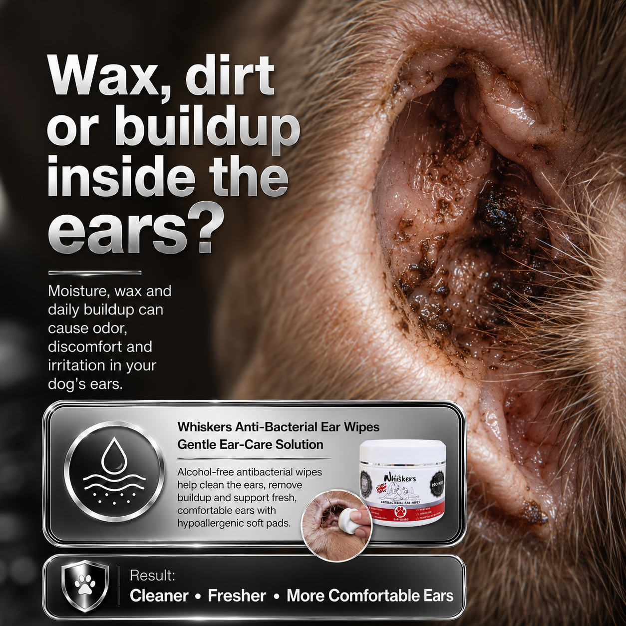 Whiskers Anti-Bacterial Ear Wipes for Dogs & Cats