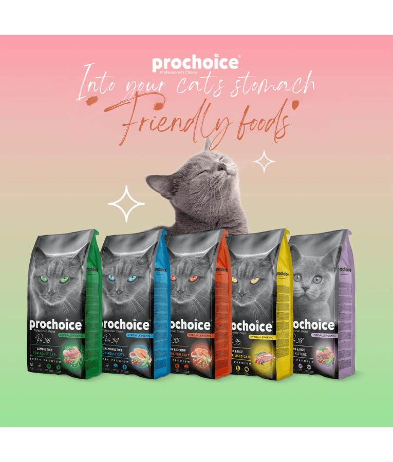 Prochoice - Pro 37 Chicken & Rice For Kittens 2kg