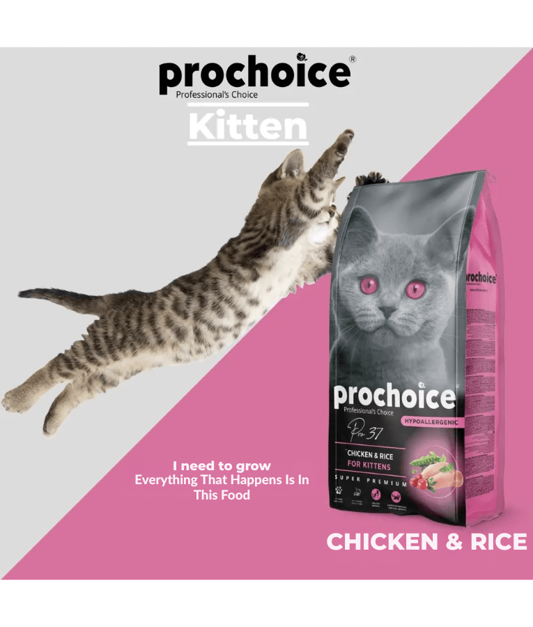 Prochoice - Pro 37 Chicken & Rice For Kittens 2kg