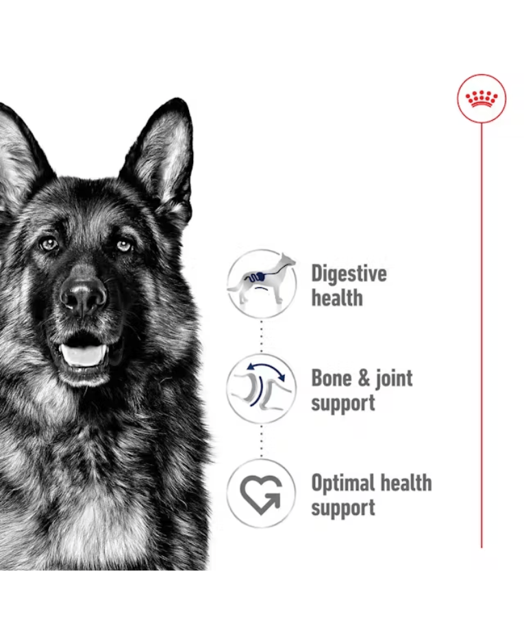 Royal Canin - Maxi Adult Wet Dog Food for Large Dogs, In Loaf - 410g
