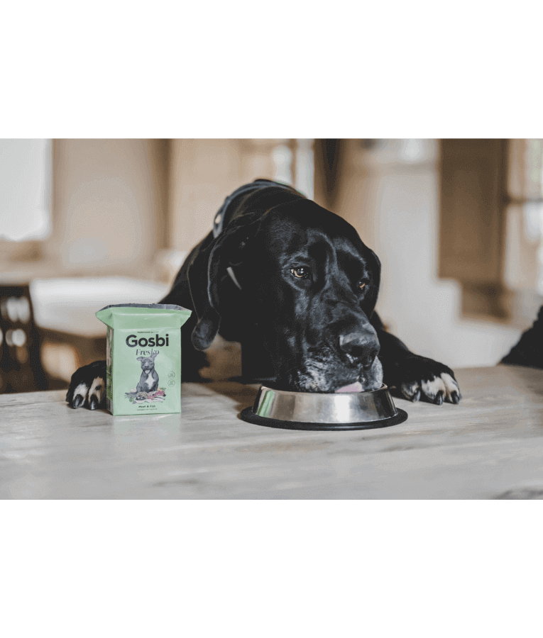 Gosbi - Fresko, Grain-Free Fish and Fruits Adult Complete Wet Dog Food - Hypoallergenic Hair and Skin Support, All Natural 375g
