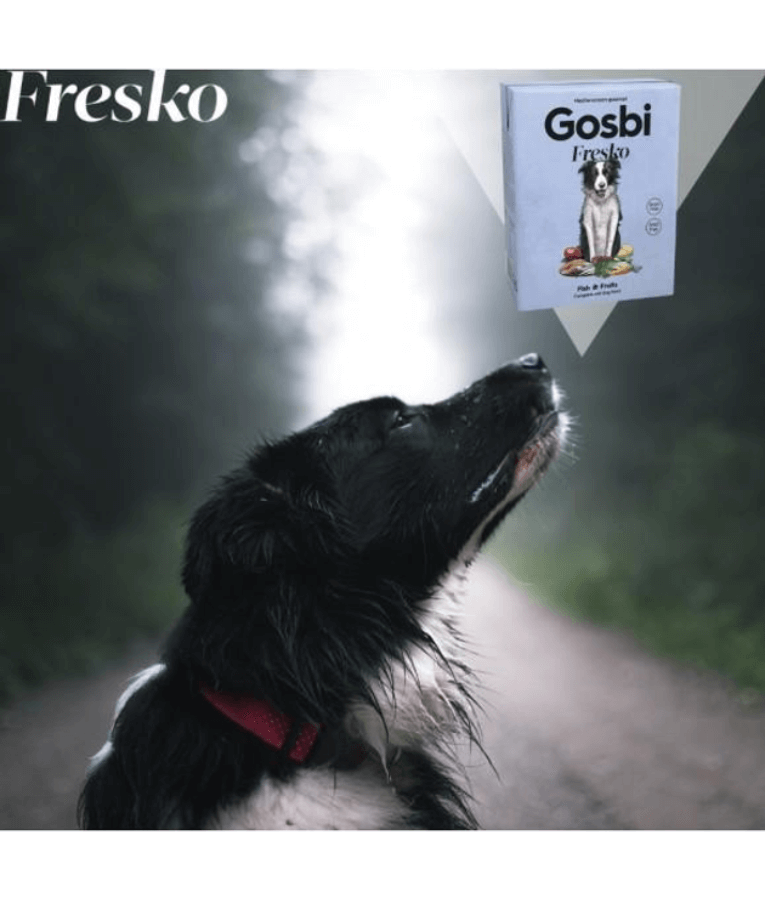 Gosbi - Fresko, Grain-Free Fish and Fruits Adult Complete Wet Dog Food - Hypoallergenic Hair and Skin Support, All Natural 375g