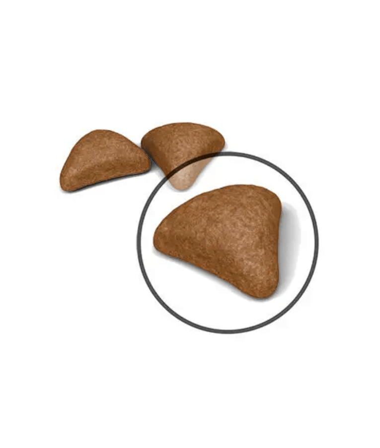 Royal Canin - Hairball Care - 0.4kg-2kg