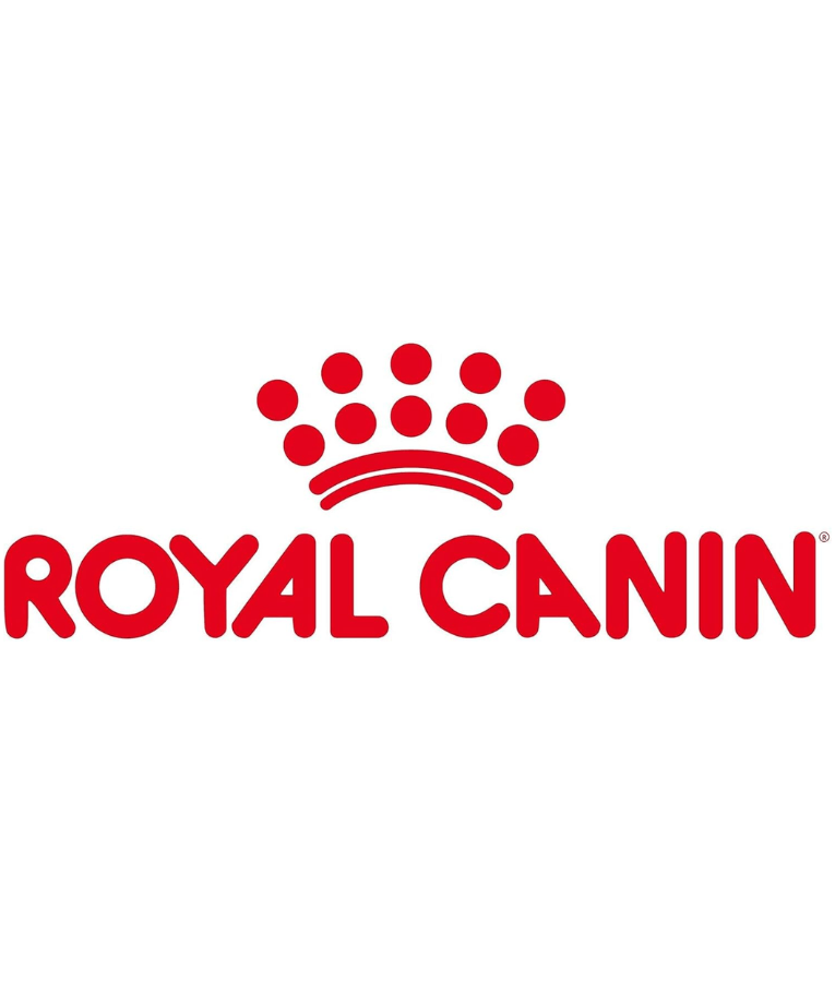 Royal Canin - Maine Coon Adult Dry Cat Food - 2kg