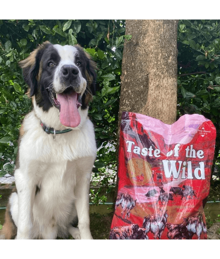 Taste of the Wild - Southwest Canyon - Wild Boar, Beef & Lamb - Grain Free Dry Dog Food - 12.2kg