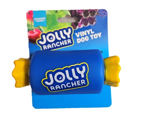Jolly Stretcher Vinyl Dog Toy
