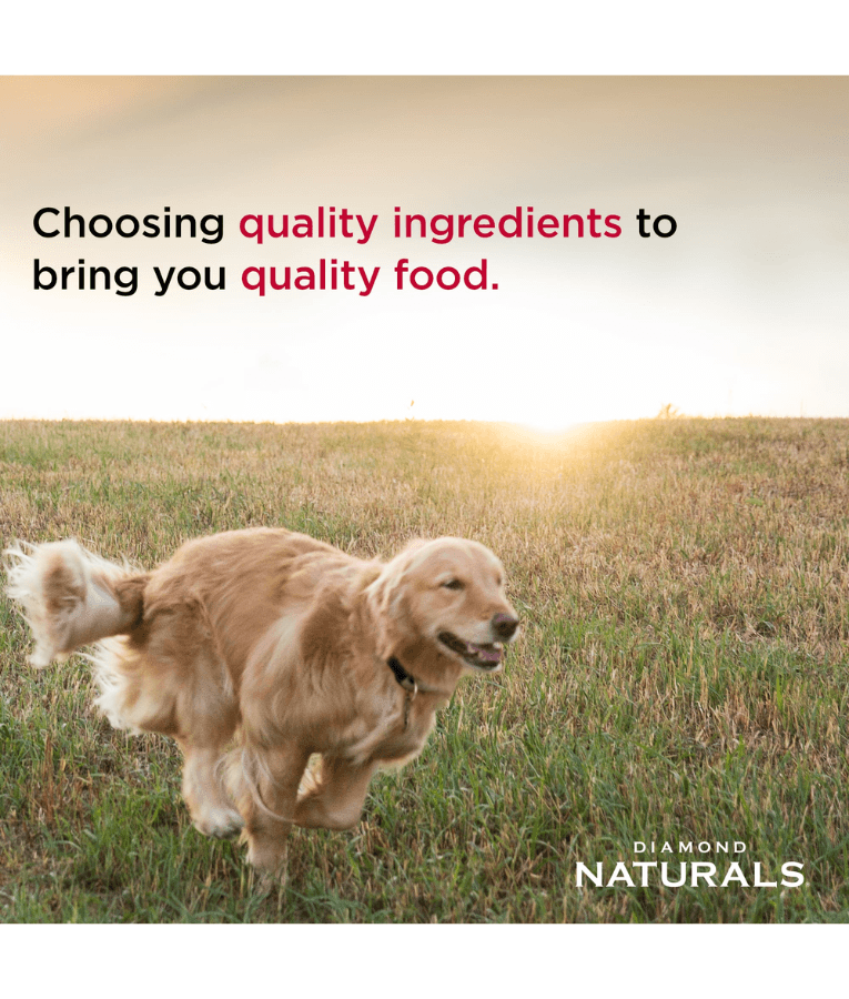 Diamond Naturals - Skin & Coat, For Medium and Large Breeds, All Life Stages Dry Dog Food,  With Salmon - 2Kg, 13.6Kg