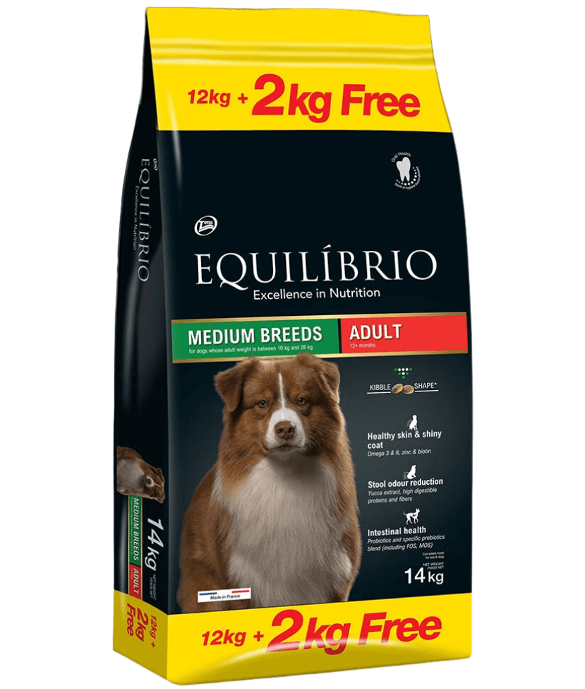 Equilibrio - Medium Breed, Adult Dry Dog Food, With Chicken - 2kg, 12kg