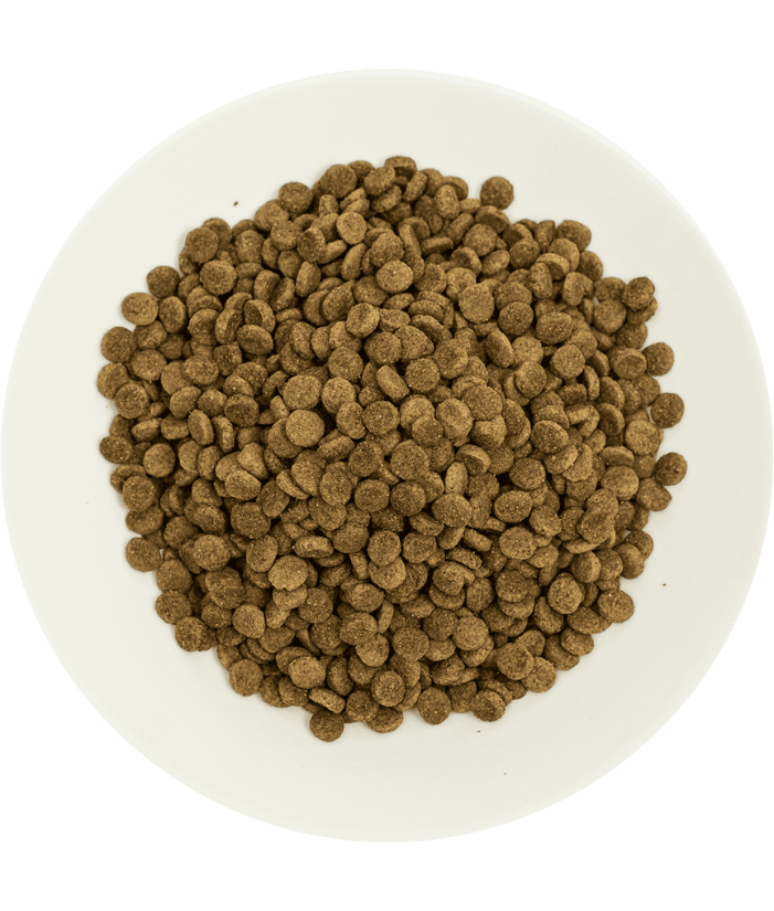 Prochoice - Pro 33 Salmon & Shrimp Sterilized 2kg-15kg