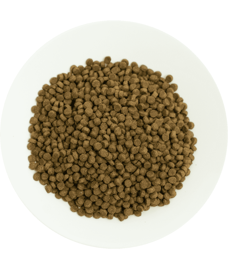 Prochoice - Pro 38 Lamb & Rice For Kittens 2kg