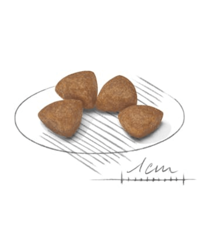 Royal Canin - X-Small Puppy 1.5kg