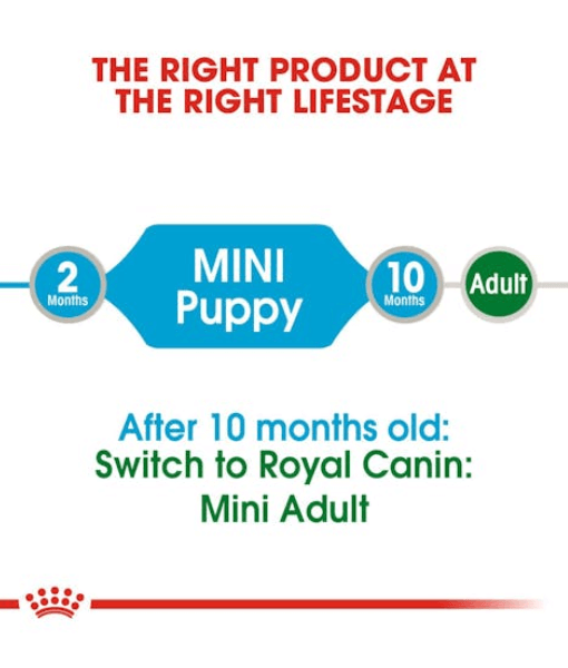 Royal Canin - Mini Puppy Wet Dog Food in Gravy, Immune & Digestive Support, Small Breed Puppy - 85g