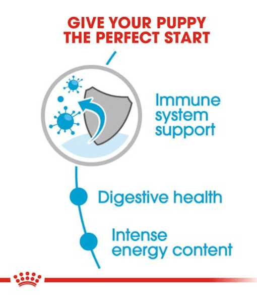Royal Canin - Mini Puppy Wet Dog Food in Gravy, Immune & Digestive Support, Small Breed Puppy - 85g