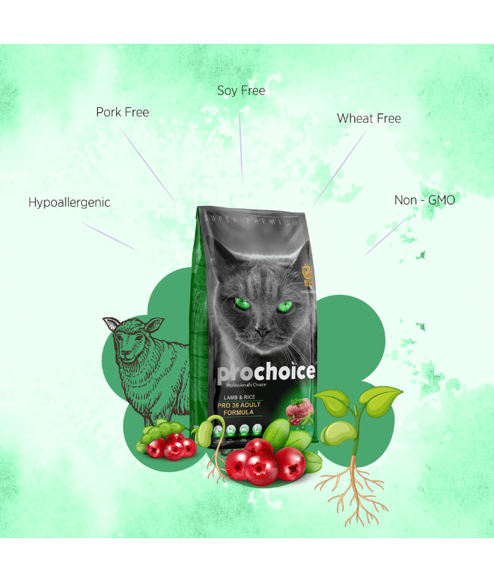 Prochoice - Pro 36 Lamb & Rice For Adult Cats 2kg-15kg