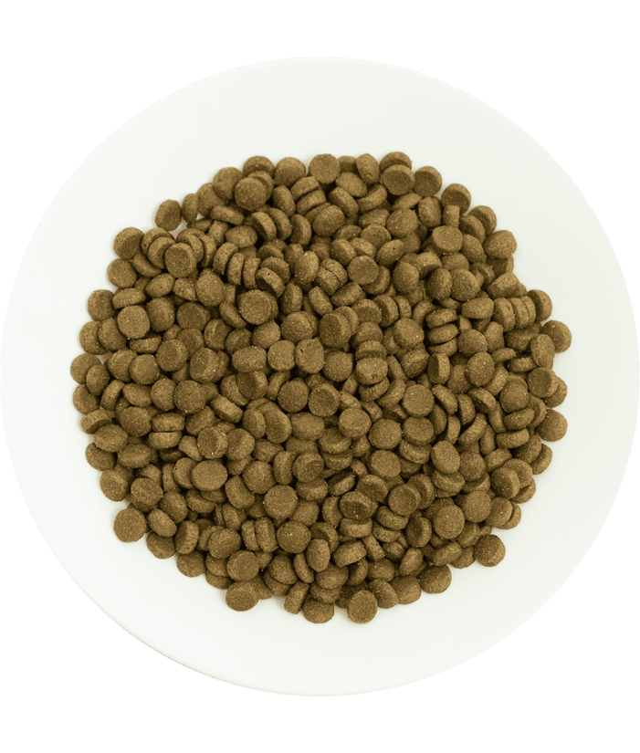 Prochoice - Pro 36 Lamb & Rice For Adult Cats 2kg-15kg
