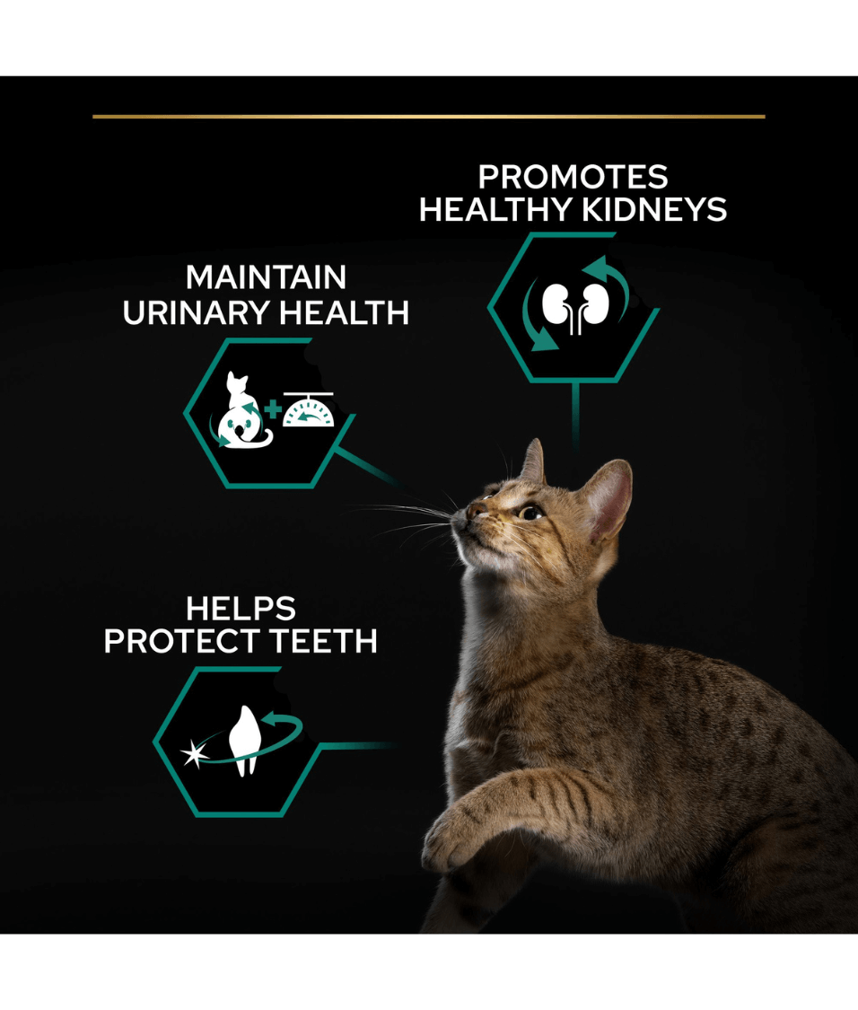 Purina - Pro Plan, Sterilised Adult Renal Plus Dry Cat Food with Turkey - 1.5kg - 3kg - 10kg