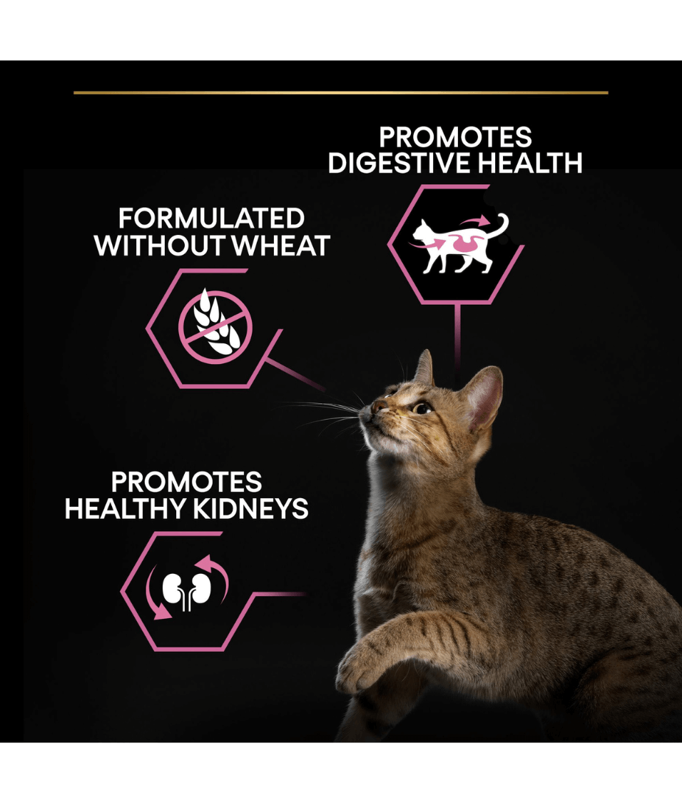 Purina - Pro Plan, Adult Delicate Digestion, Dry Cat Food with Turkey - 1.5kg - 3kg - 10kg