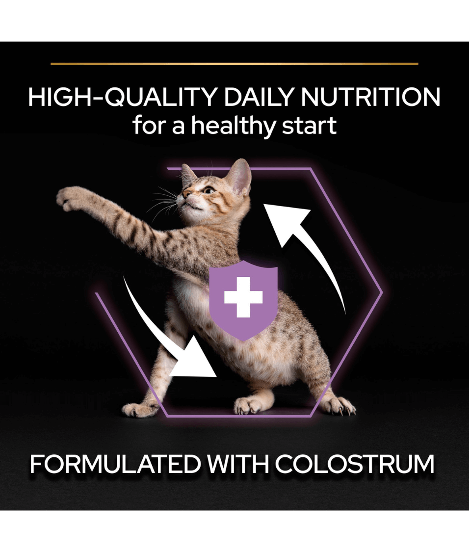 Purina - Pro Plan, Kitten Healthy Start Dry Cat Food with Chicken - 0.4kg - 1.5kg - 3kg