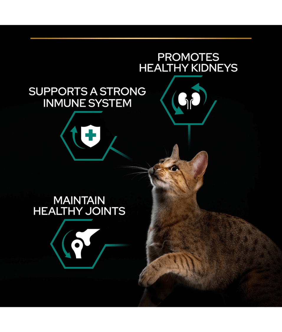 Purina - Pro Plan, Adult Renal Plus Everyday Dry Cat Food with Chicken - 1.5kg - 10kg
