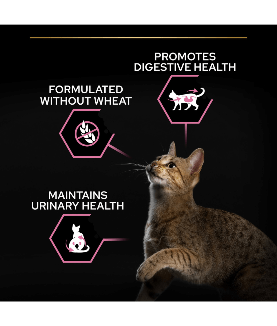 Purina - Pro Plan, Sterilised Adult Delicate Digestion Dry Cat Food with Chicken - 0.4kg - 1.5kg - 3kg - 10kg