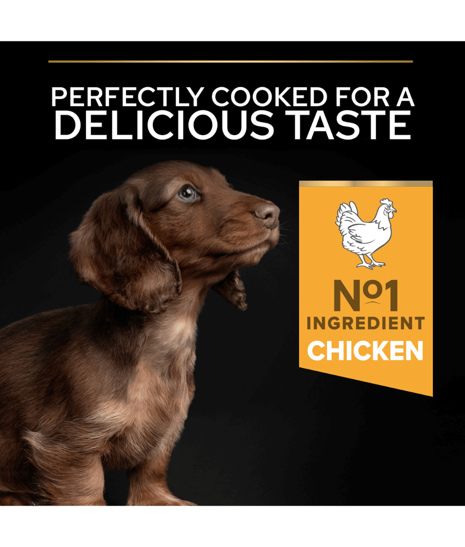 Purina - Pro Plan, Healthy Start Small and Mini Puppy, Dry Dog food with Chicken 3 kg