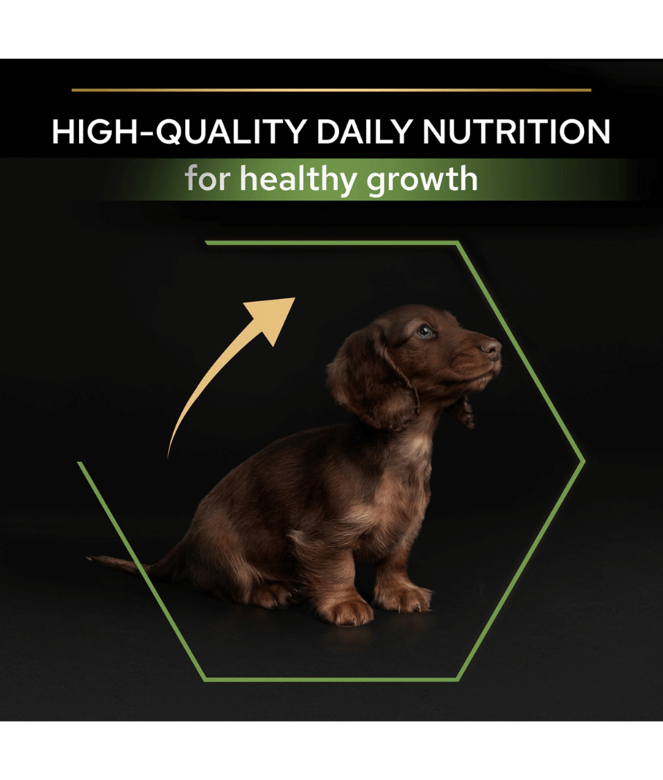 Purina - Pro Plan, Healthy Start Small and Mini Puppy, Dry Dog food with Chicken 3 kg