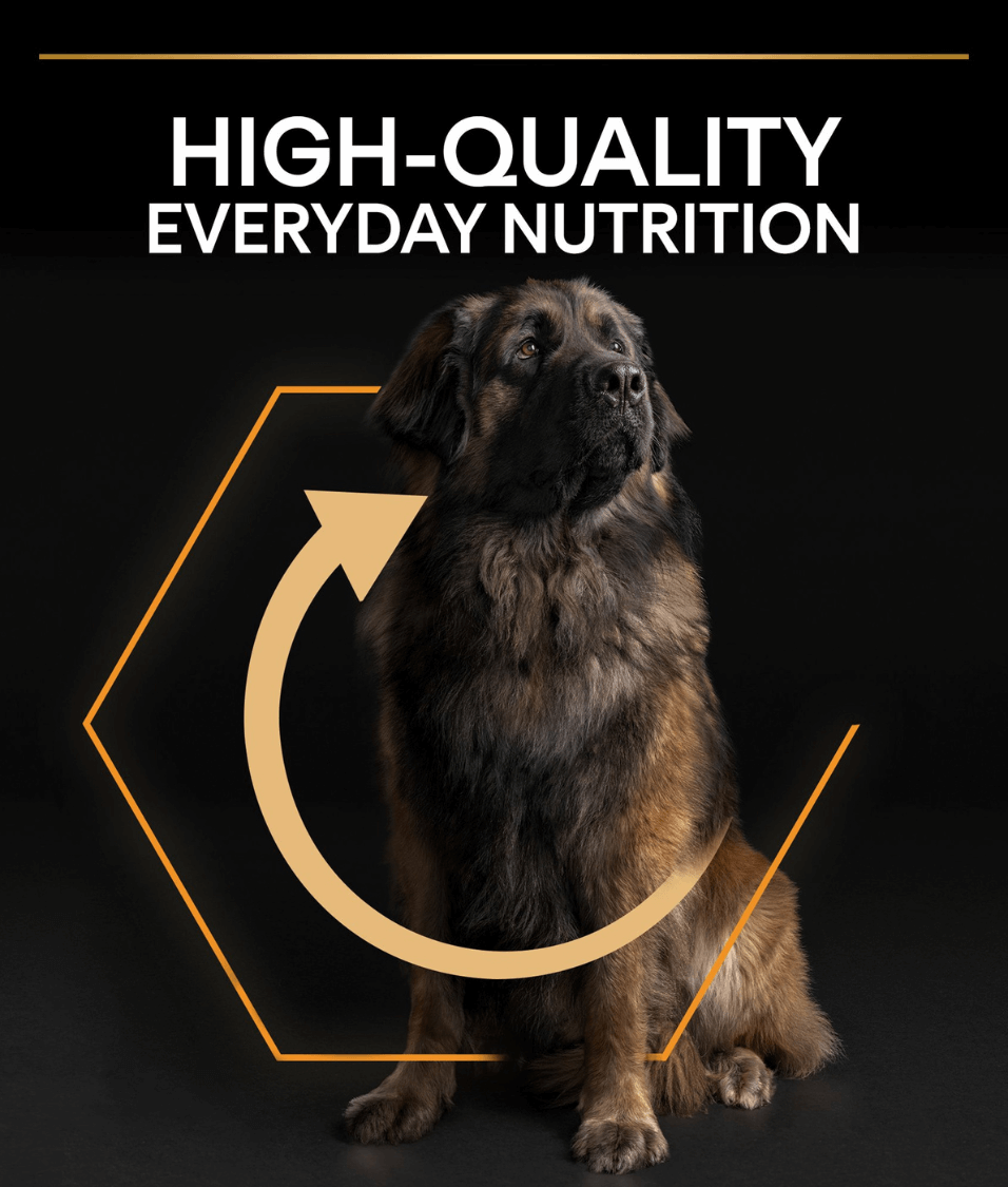 Purina - Pro Plan, Everyday Nutrition Large Robust Adult, Dry Dog food with Chicken 14kg