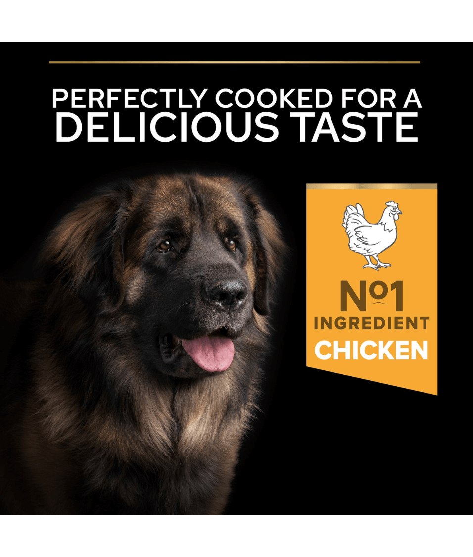 Purina - Pro Plan, Everyday Nutrition Large Robust Adult, Dry Dog food with Chicken 14kg