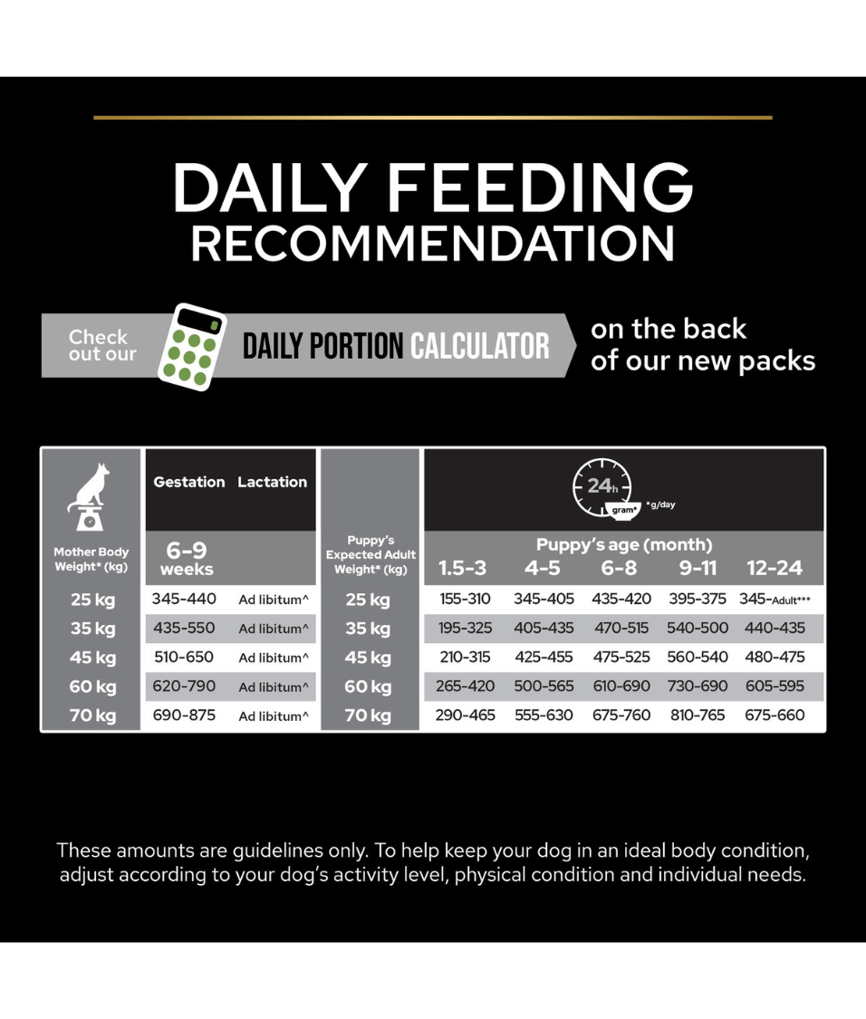 Purina - Pro Plan, Healthy Start Large Robust Puppy, Dry Dog food with Chicken 3kg-12kg
