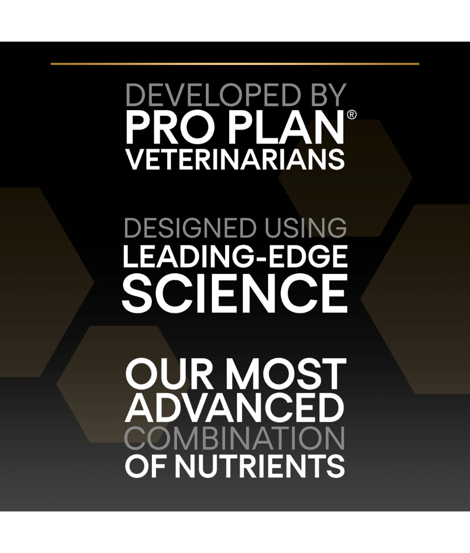Purina - Pro Plan, Healthy Start Large Robust Puppy, Dry Dog food with Chicken 3kg-12kg