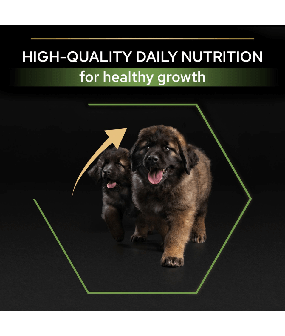 Purina - Pro Plan, Healthy Start Large Robust Puppy, Dry Dog food with Chicken 3kg-12kg