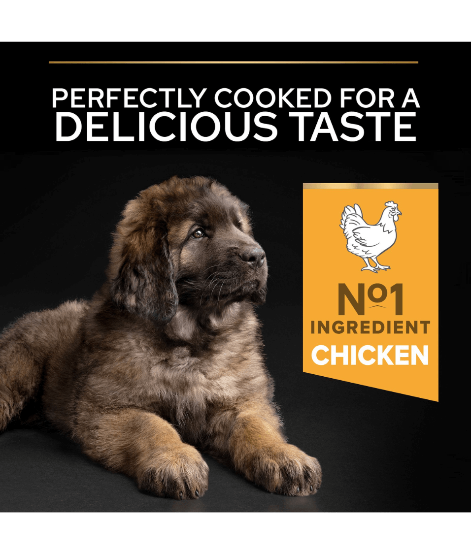 Purina - Pro Plan, Healthy Start Large Robust Puppy, Dry Dog food with Chicken 3kg-12kg