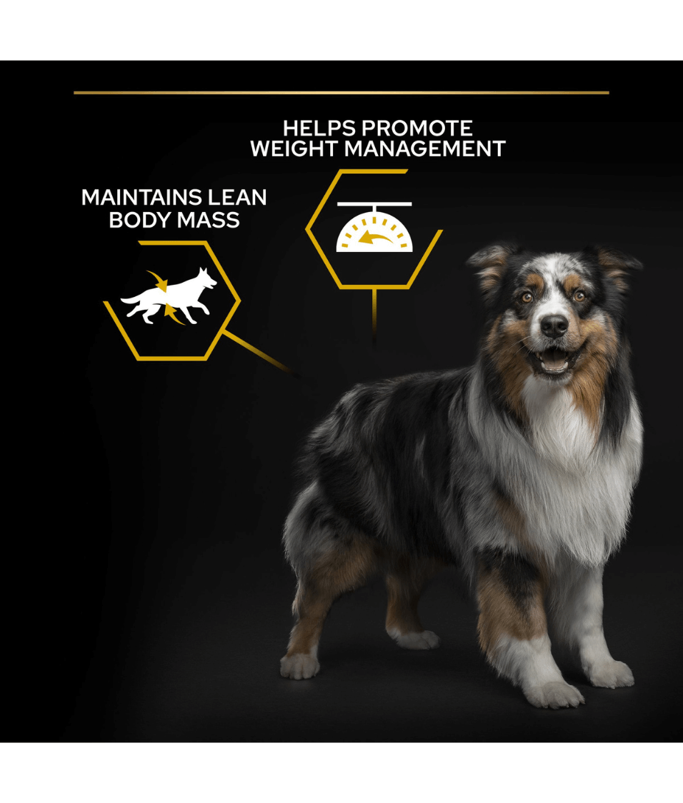 Purina - Pro Plan, Light Sterilized All Sizes Adult, Dry Dog food with Chicken 3kg-14kg