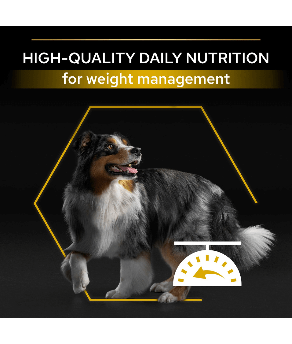 Purina - Pro Plan, Light Sterilized All Sizes Adult, Dry Dog food with Chicken 3kg-14kg
