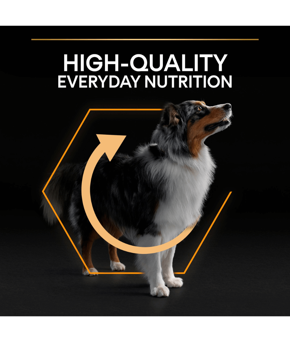 Purina - Pro Plan, Everyday Nutrition Medium Adult, Dry Dog food with Chicken 3kg