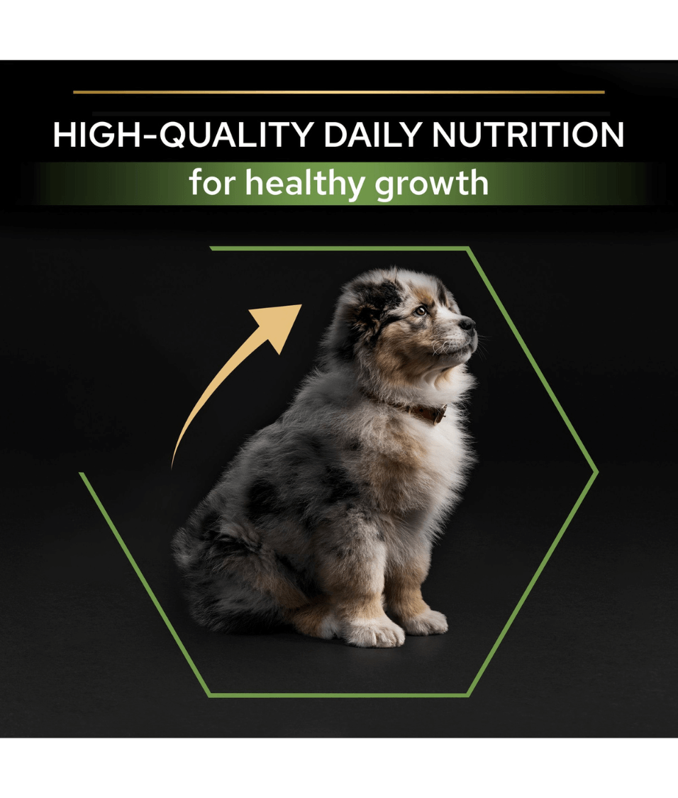 Purina - Pro Plan, Healthy Start Medium Puppy, Dry Dog food with Chicken 3kg-12kg