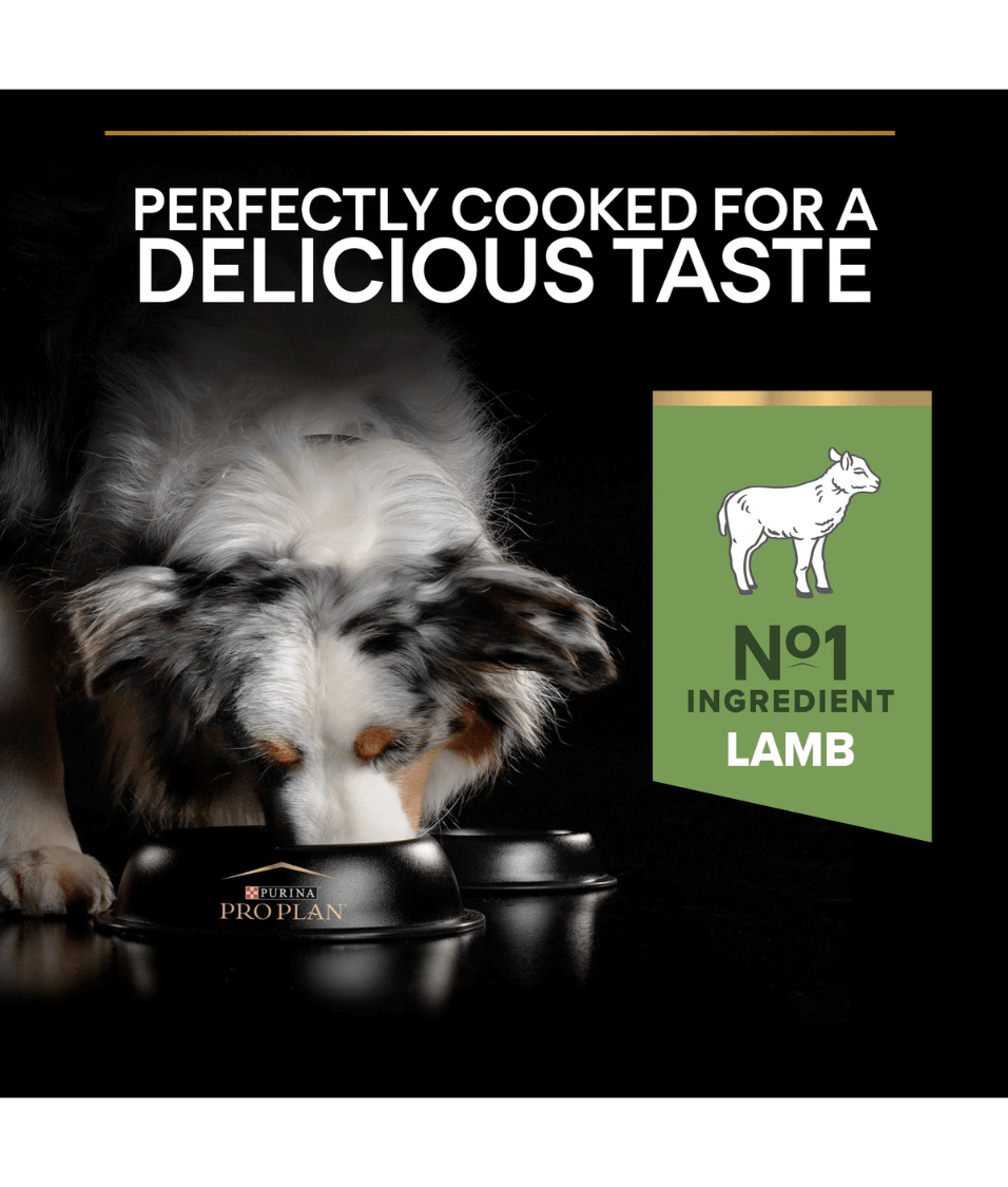 Purina - Pro Plan, Sensitive Digestion Medium Adult, Dry Dog food with Lamb 3kg-14kg
