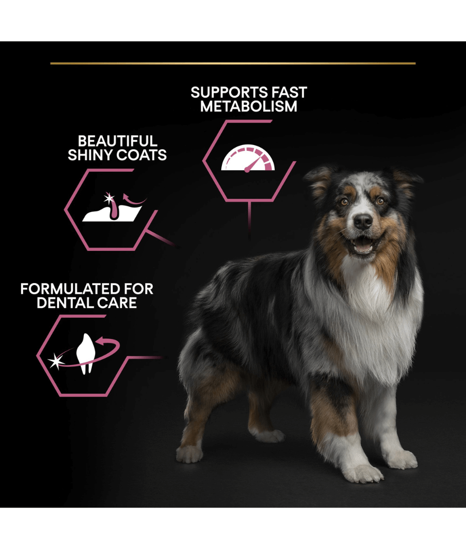 Purina - Pro Plan, Sensitive Skin Medium Adult, Dry Dog food with Salmon 3kg