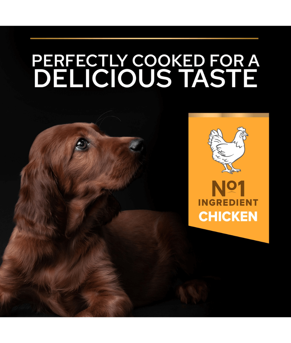 Purina - Pro Plan, Healthy Start Large Athletic Puppy, Dry Dog food with Chicken 3kg-12kg