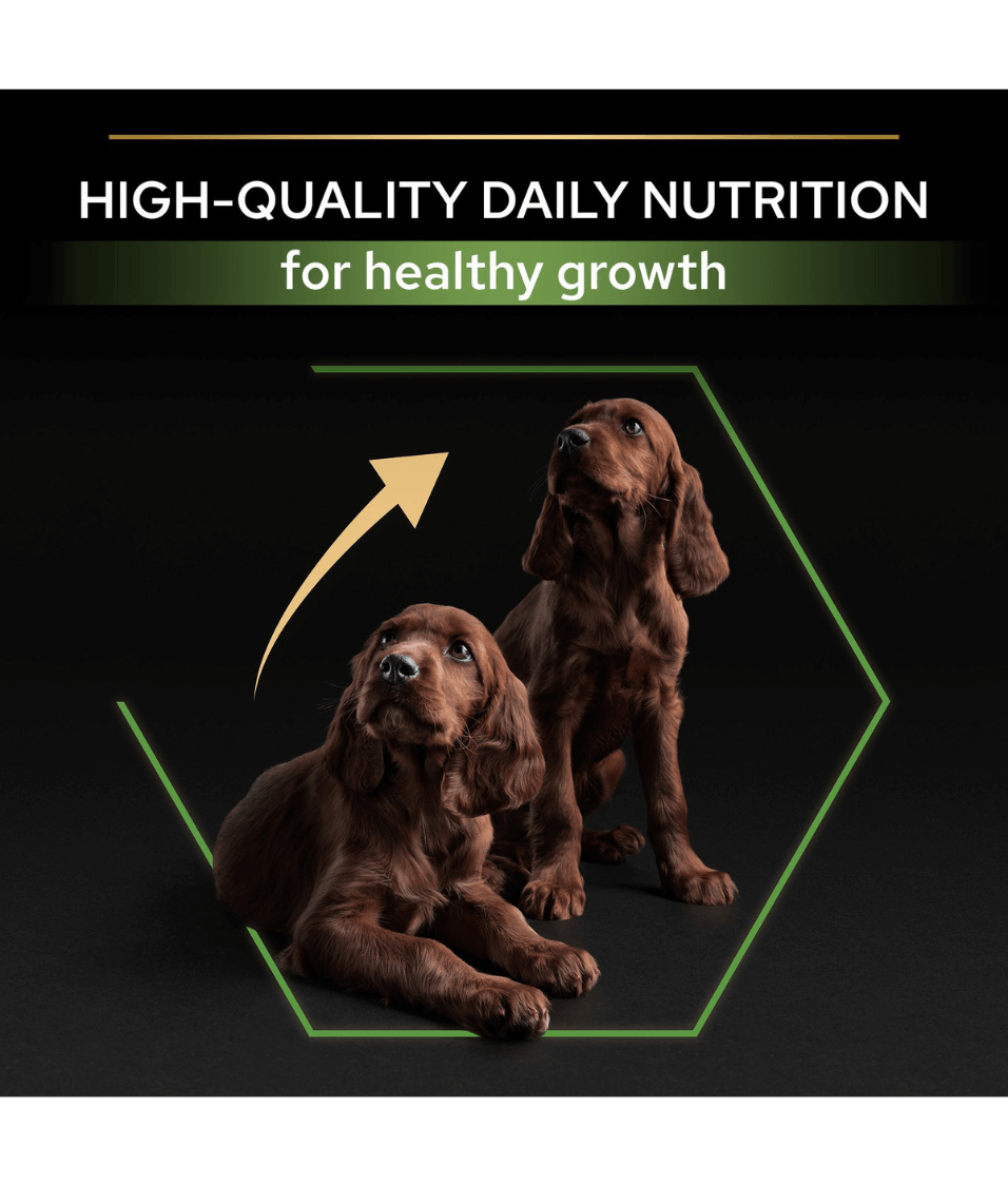 Purina - Pro Plan, Healthy Start Large Athletic Puppy, Dry Dog food with Chicken 3kg-12kg