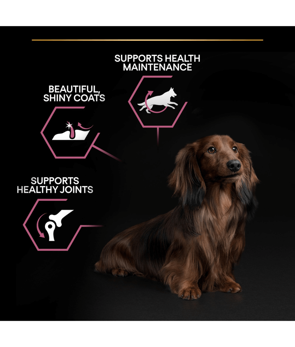 Purina - Pro Plan, Sensitive Skin Small and Mini Adult, Dry Dog food with Salmon 3kg