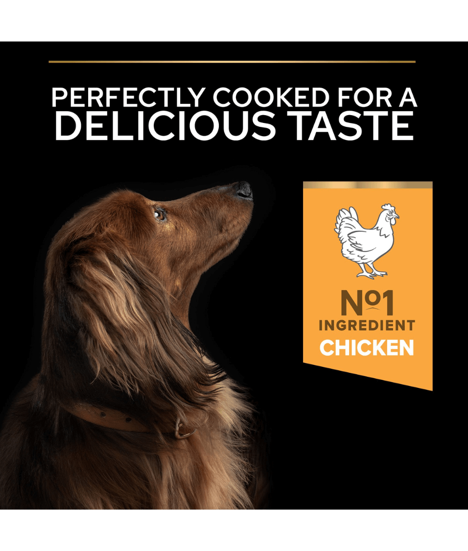 Purina - Pro Plan, Everyday Nutrition Small and Mini Adult, Dry Dog food with Chicken 3kg - 7kg