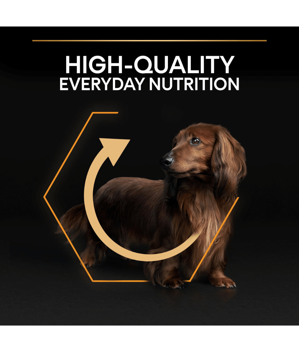 Purina - Pro Plan, Everyday Nutrition Small and Mini Adult, Dry Dog food with Chicken 3kg - 7kg
