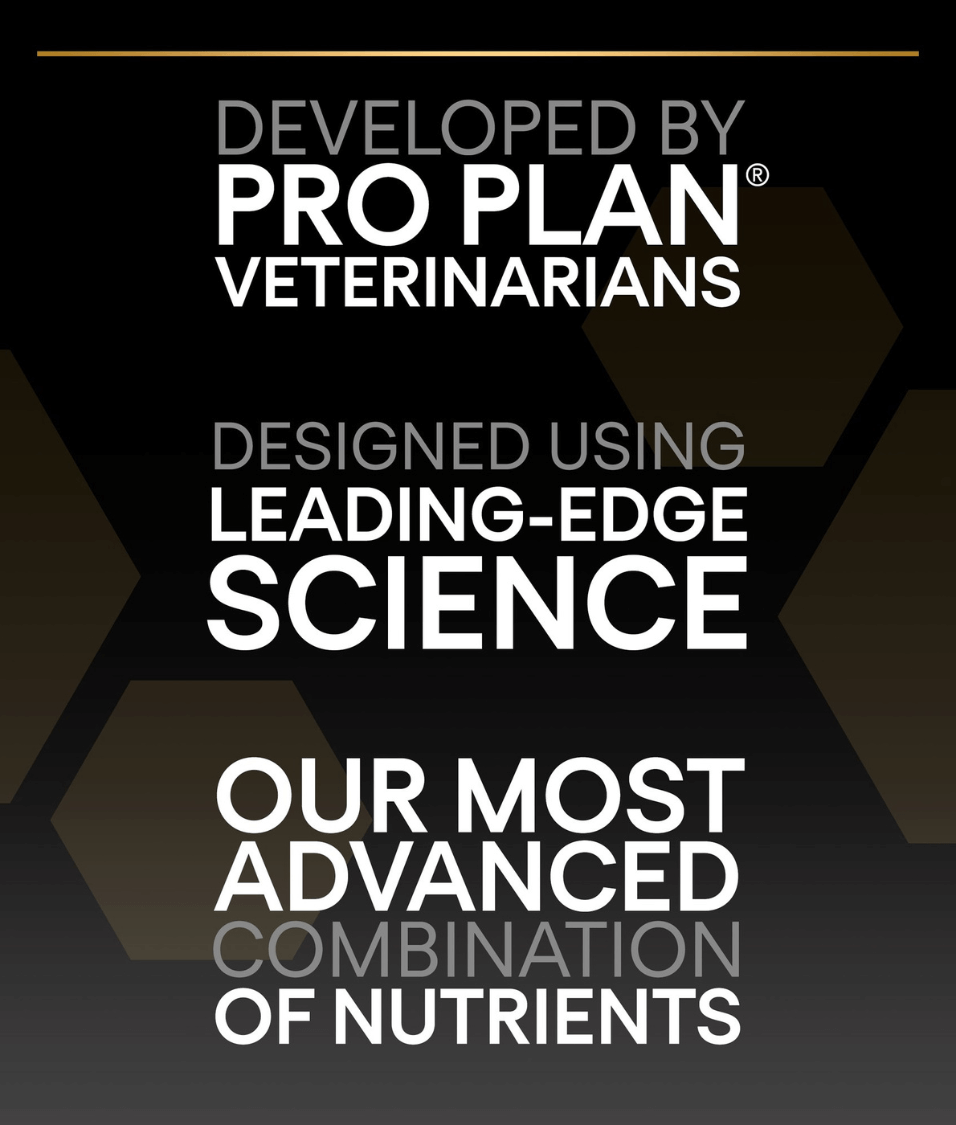 Purina - Pro Plan, Everyday Nutrition Small and Mini Adult, Dry Dog food with Chicken 3kg - 7kg