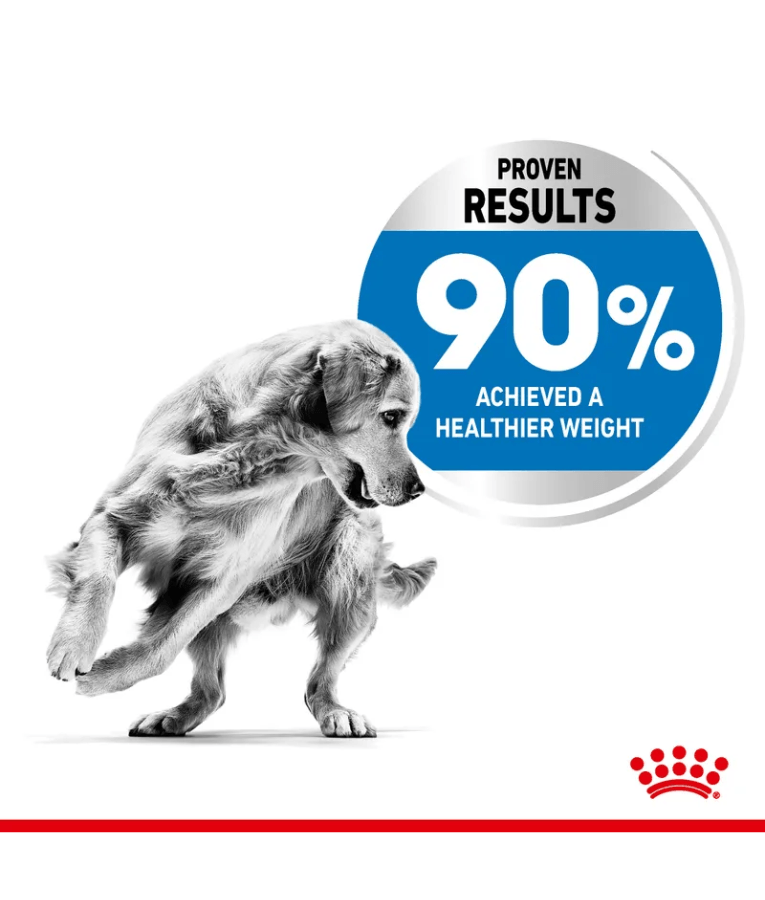 Royal Canin - Light Weight Care Maxi Dry Dog Food - Weight Management, Joint Support - 3 kg