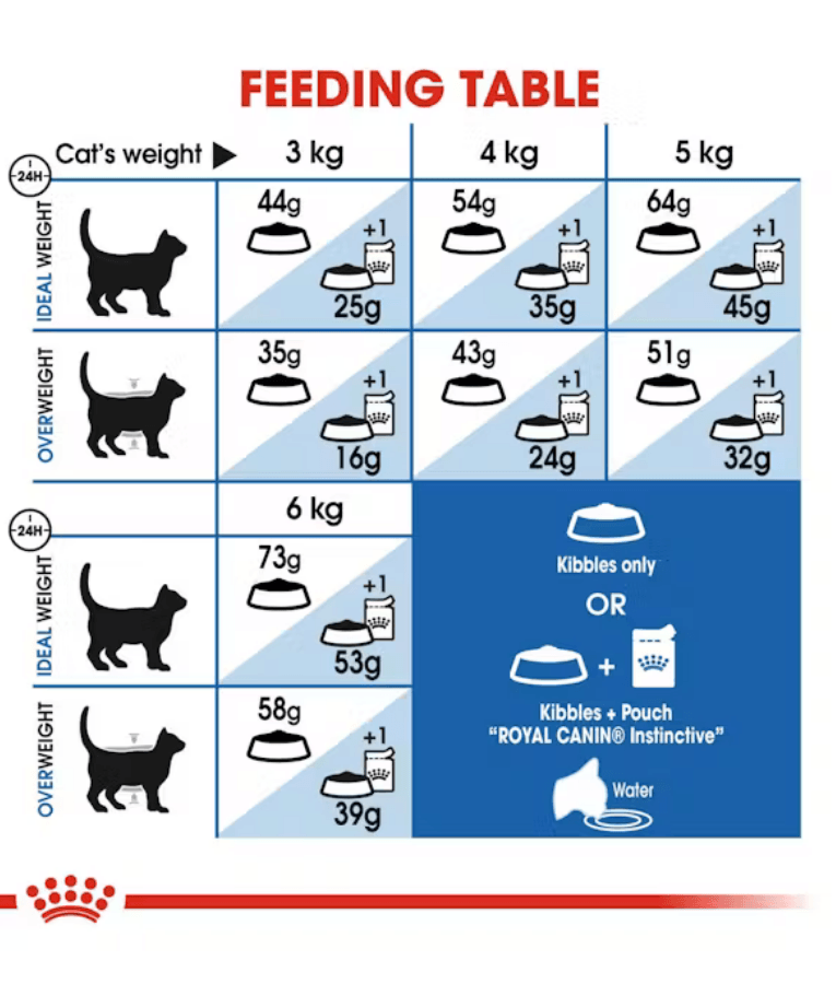 Royal Canin - Indoor Long Hair, Hairball Reduction, Skin & Coat Support, Adult Indoor Long-Haired Cat Dry Food - 2 kg