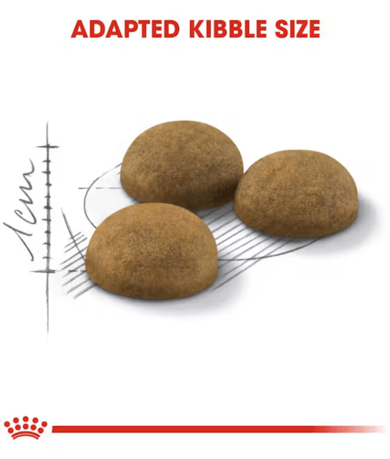 Royal Canin - Indoor Long Hair, Hairball Reduction, Skin & Coat Support, Adult Indoor Long-Haired Cat Dry Food - 2 kg