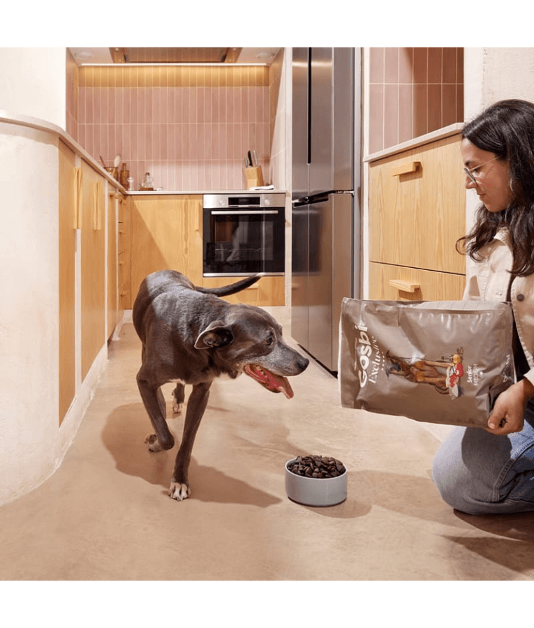 Gosbi - Exclusive, Hypoallergenic Chicken Senior Dry Dog Food For Medium and Large Breeds 3kg, 12kg