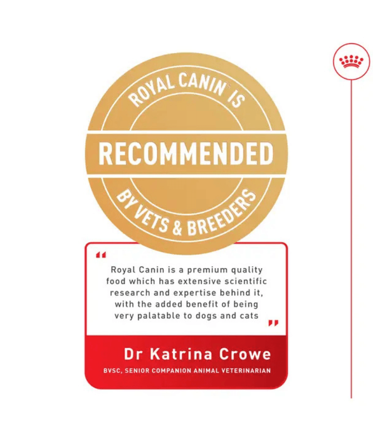 Royal Canin - Maxi Joint Care Adult Large Breed Dog, Hip & Joint Support, Weight Management, With Grains Dry Dog Food - 10 kg