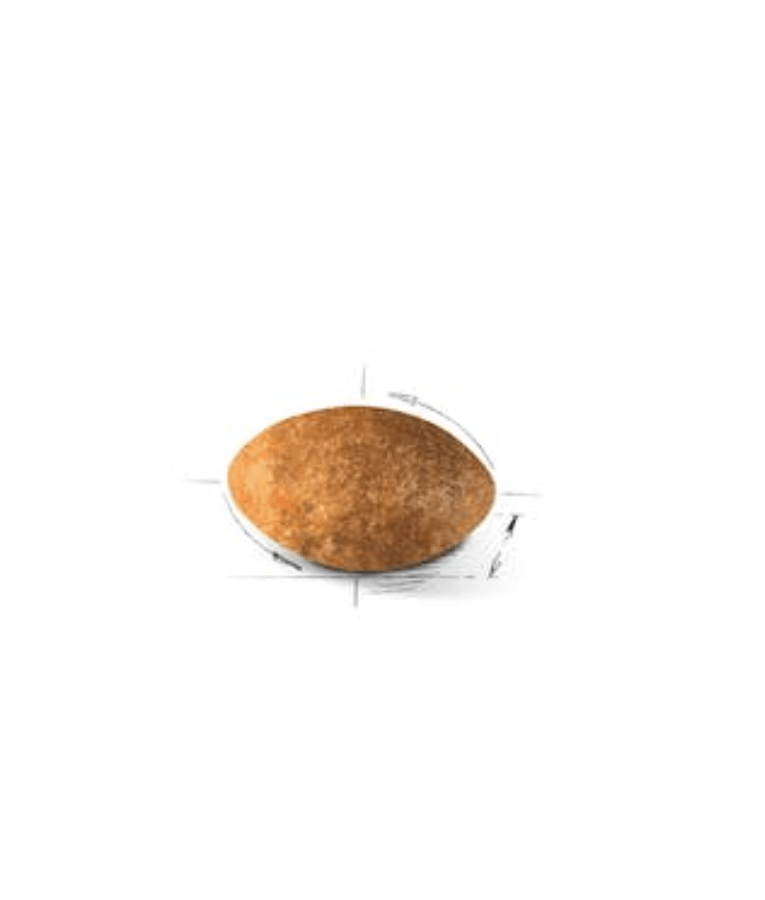 Royal Canin - Persian Adult Cat Food with Hairball Reduction, Skin & Coat Support - 0.4kg-2kg-4kg